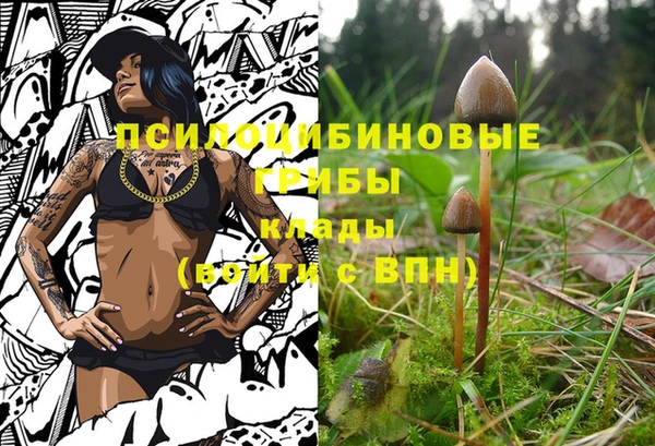 PSILOCYBIN Новозыбков